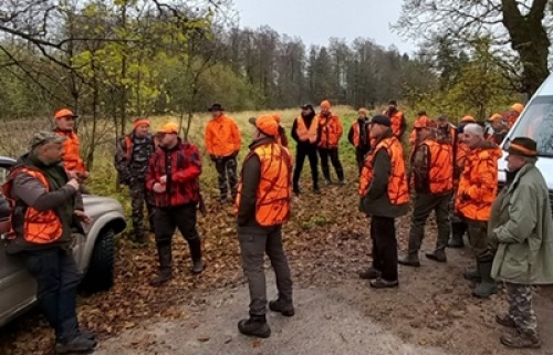 Zbiorowki listopad 2025.jpg